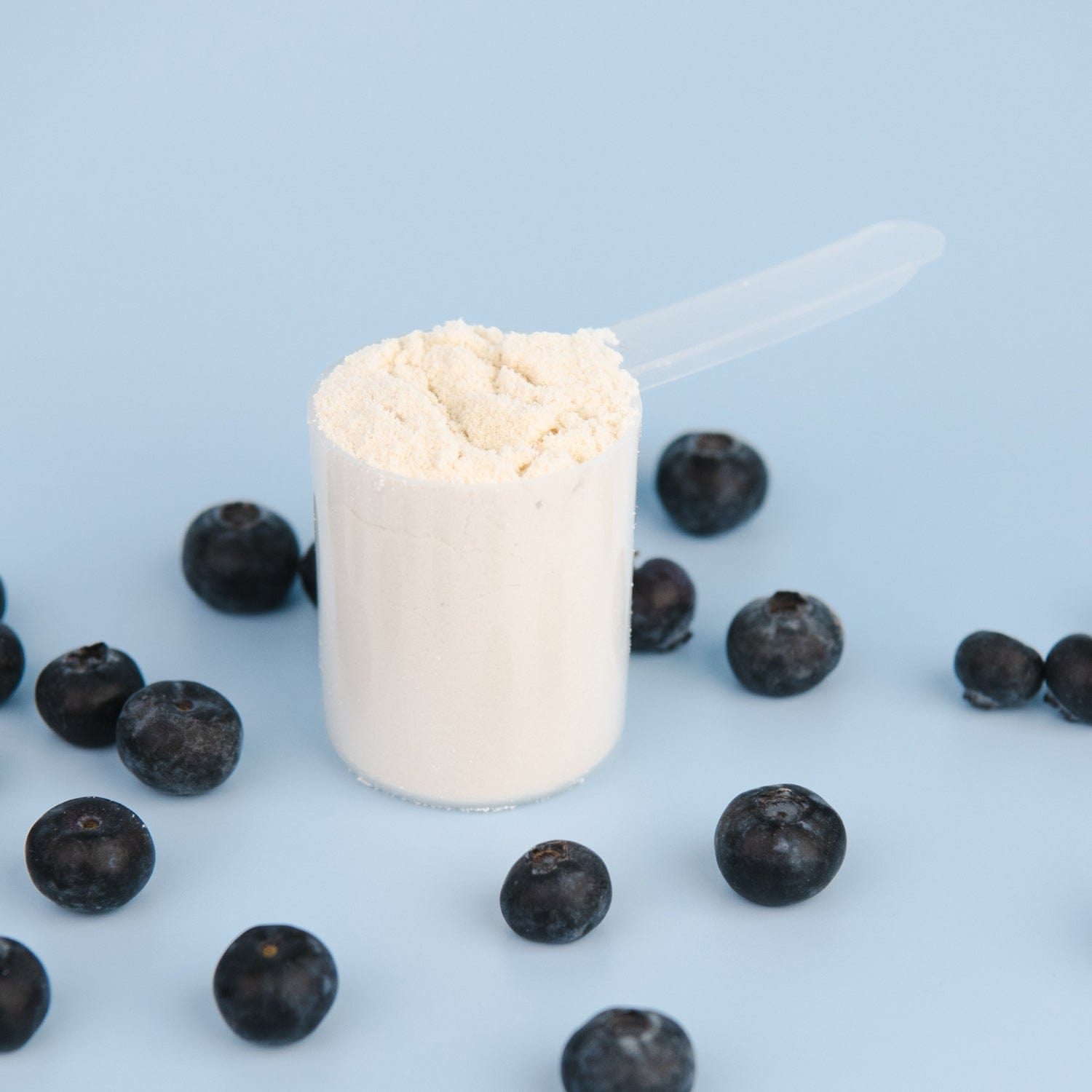 Whey Protein