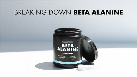 Breaking Down Beta Alanine