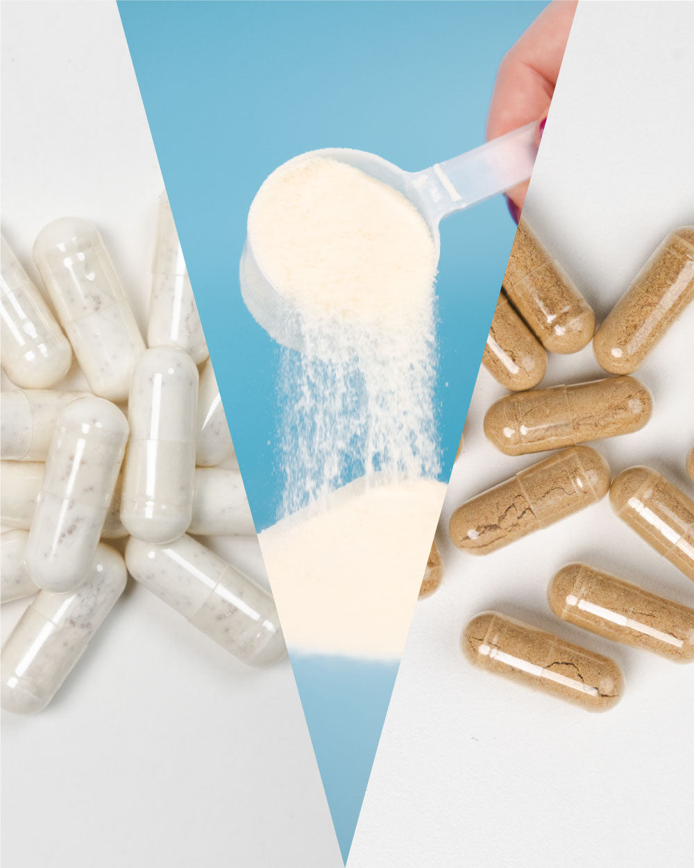 The Differences Between ILLUMINATE, Collagen Peptides, & Oyster Capsules