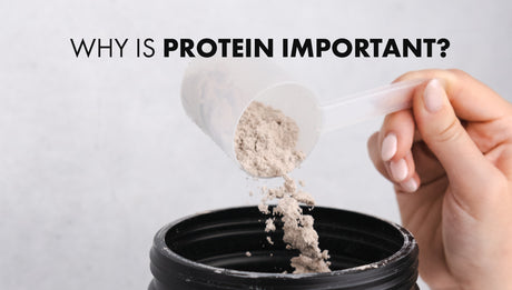 Why is Protein Important?