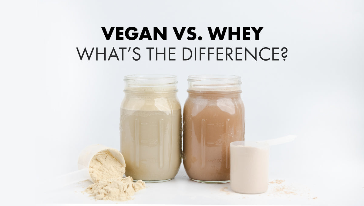 Vegan Protein Vs. Whey Protein: What's The Difference? - Bowmar Nutrition