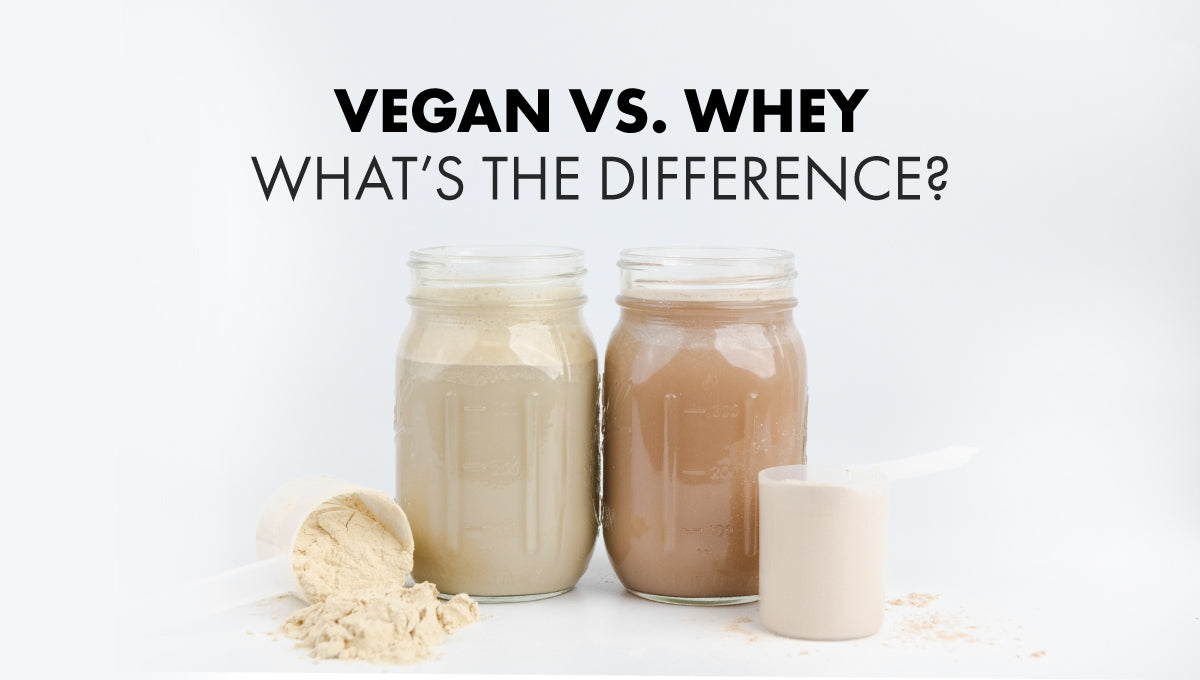 Vegan Protein vs. Whey Protein: What's the Difference?