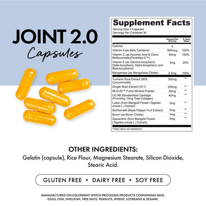 Joint2.0