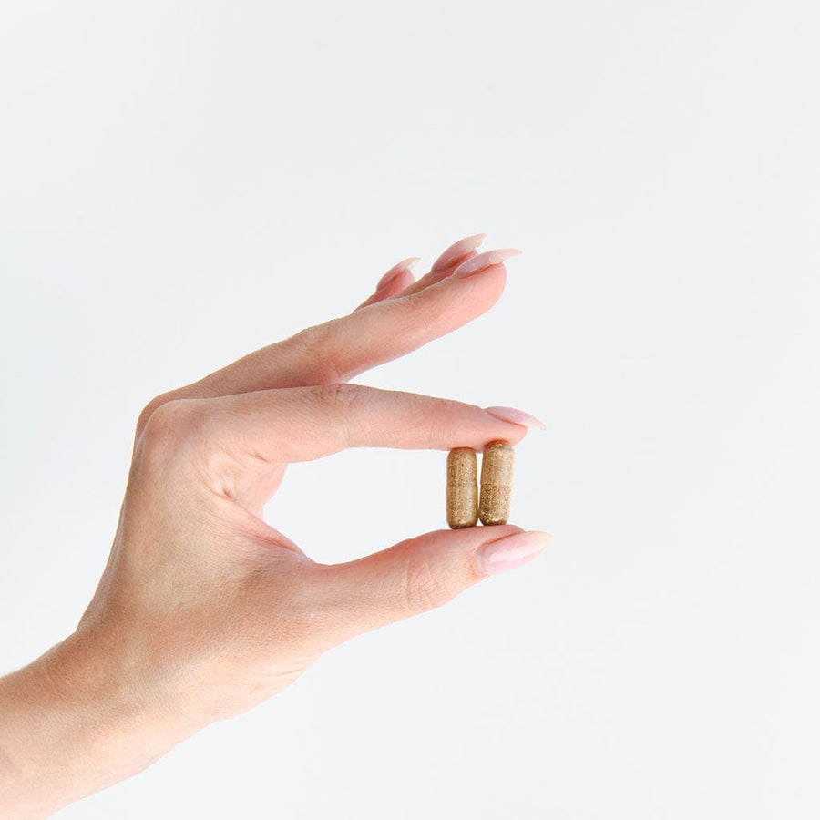 Protein Hot Chocolate Bowmar Nutrition